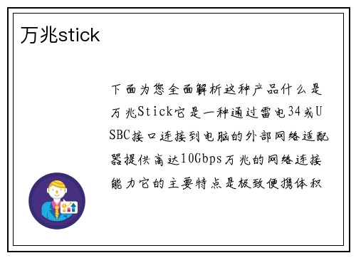 万兆stick